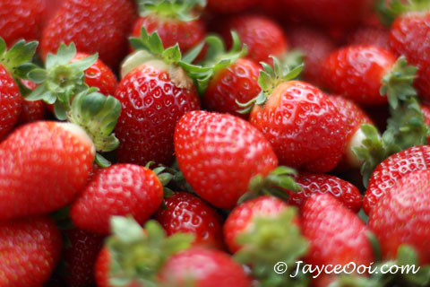 http://www.jayceooi.com/wp-content/uploads/2007/07/strawberry_take_away.jpg