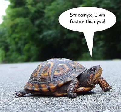 Streamyx Turtle